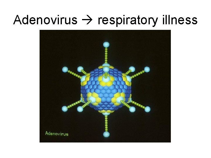 Adenovirus respiratory illness 