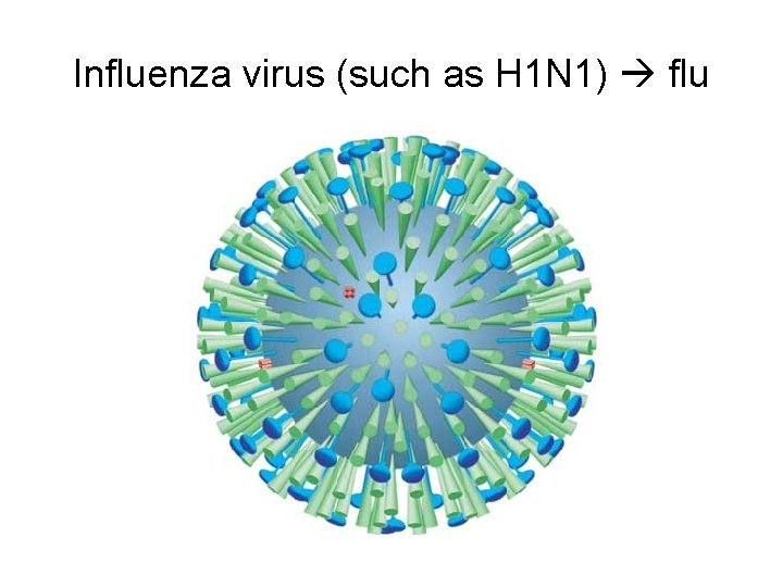 Influenza virus (such as H 1 N 1) flu 