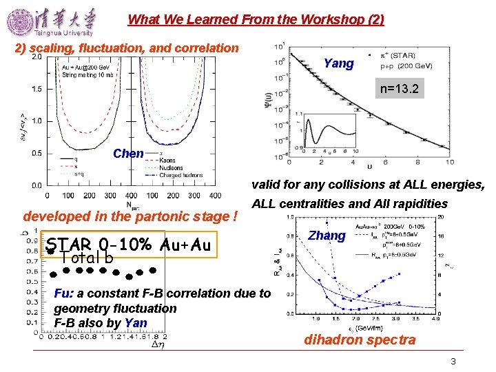 What We Learned From the Workshop (2) 2) scaling, fluctuation, and correlation Yang n=13.