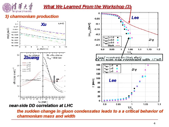 What We Learned From the Workshop (3) 3) charmonium production Lee Xu Zhuang From