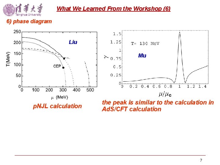 What We Learned From the Workshop (6) 6) phase diagram Liu Mu p. NJL