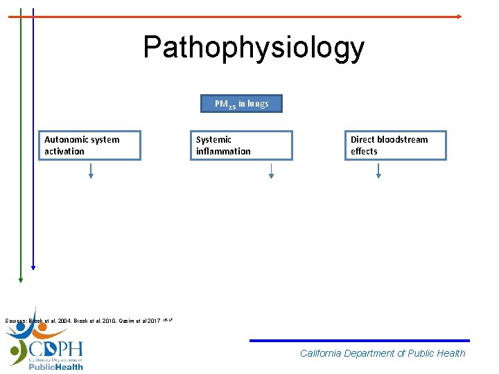 Pathophysiology PM 2. 5 in lungs Autonomic system activation Systemic inflammation Direct bloodstream effects