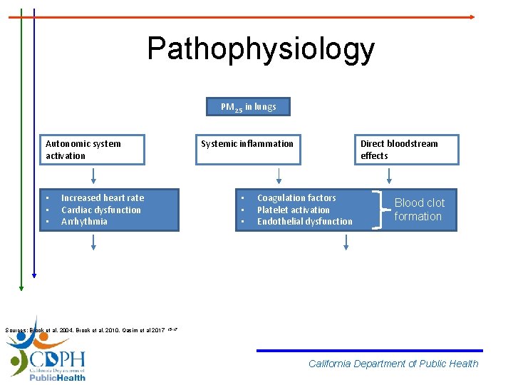 Pathophysiology PM 2. 5 in lungs Autonomic system activation • • • Increased heart