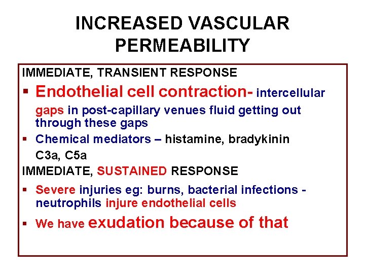 INCREASED VASCULAR PERMEABILITY IMMEDIATE, TRANSIENT RESPONSE § Endothelial cell contraction- intercellular gaps in post-capillary