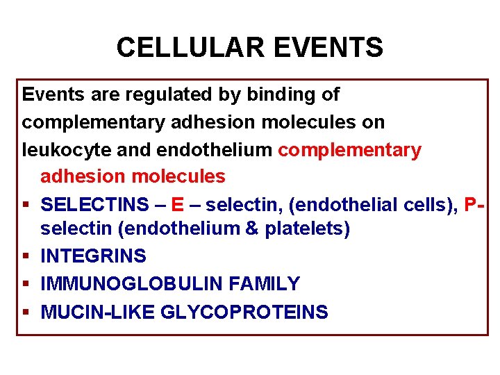 CELLULAR EVENTS Events are regulated by binding of complementary adhesion molecules on leukocyte and
