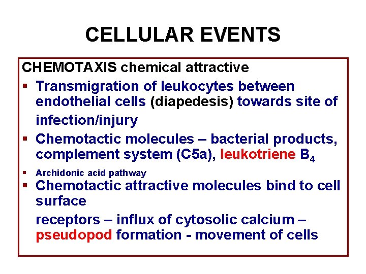 CELLULAR EVENTS CHEMOTAXIS chemical attractive § Transmigration of leukocytes between endothelial cells (diapedesis) towards