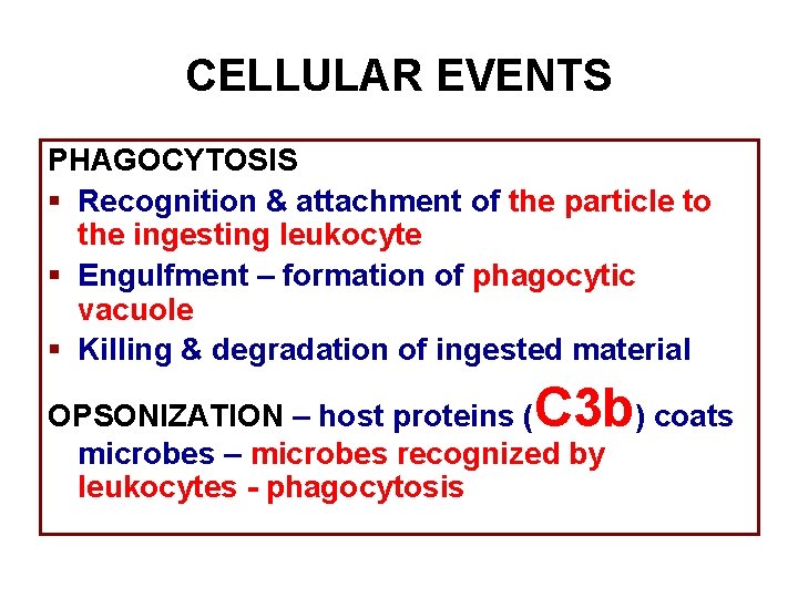 CELLULAR EVENTS PHAGOCYTOSIS § Recognition & attachment of the particle to the ingesting leukocyte