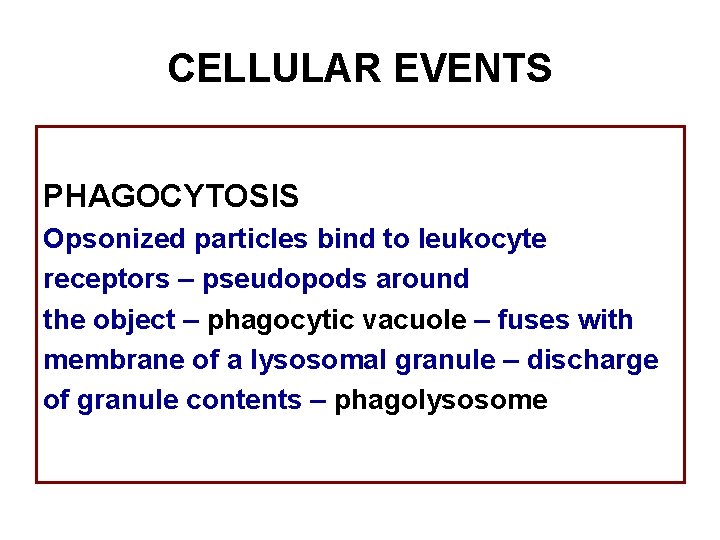 CELLULAR EVENTS PHAGOCYTOSIS Opsonized particles bind to leukocyte receptors – pseudopods around the object