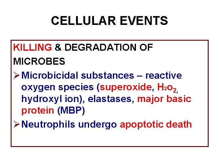 CELLULAR EVENTS KILLING & DEGRADATION OF MICROBES Ø Microbicidal substances – reactive oxygen species