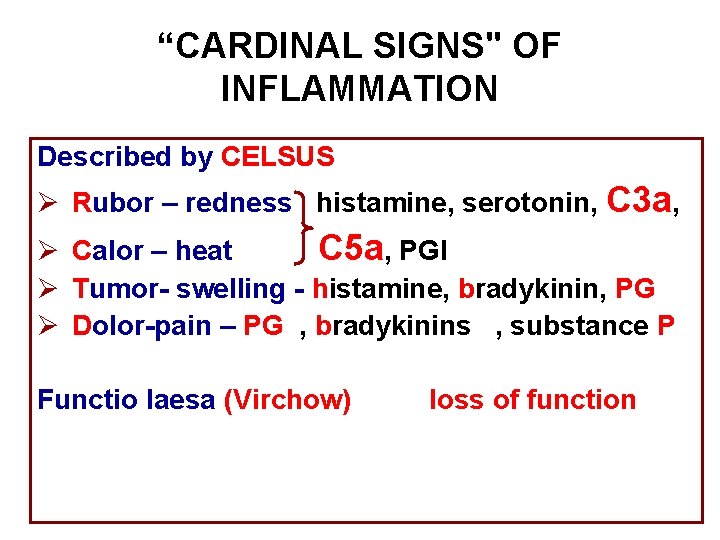 “CARDINAL SIGNS" OF INFLAMMATION Described by CELSUS Ø Rubor – redness histamine, serotonin, C