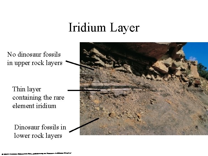 Iridium Layer No dinosaur fossils in upper rock layers Thin layer containing the rare