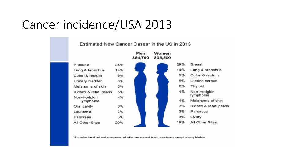 Cancer incidence/USA 2013 