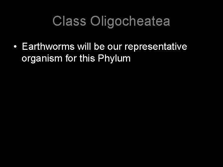 Class Oligocheatea • Earthworms will be our representative organism for this Phylum 