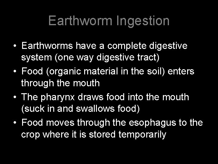 Earthworm Ingestion • Earthworms have a complete digestive system (one way digestive tract) •