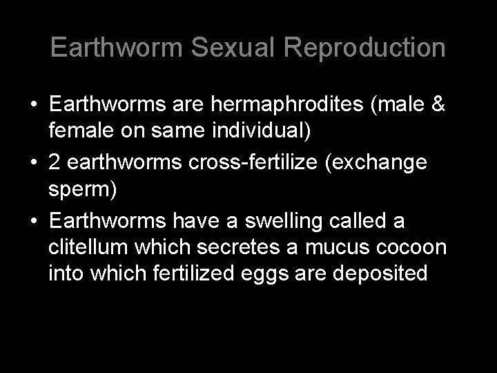 Earthworm Sexual Reproduction • Earthworms are hermaphrodites (male & female on same individual) •