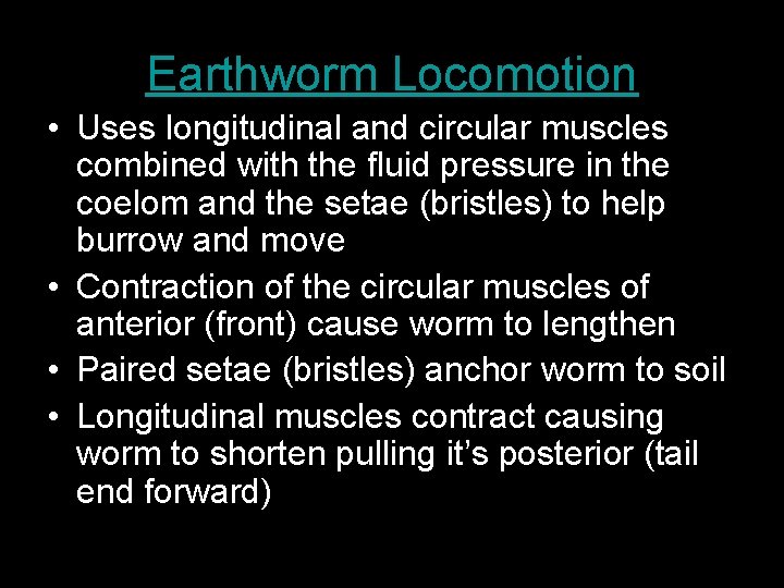 Earthworm Locomotion • Uses longitudinal and circular muscles combined with the fluid pressure in