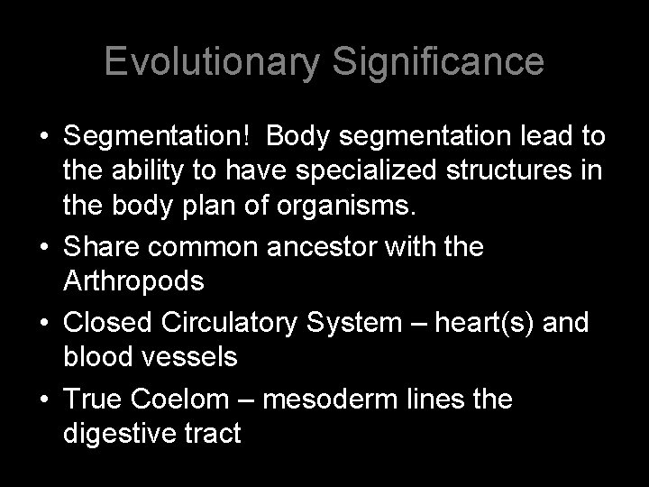 Evolutionary Significance • Segmentation! Body segmentation lead to the ability to have specialized structures