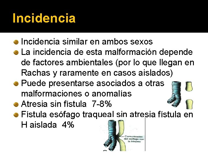 Incidencia similar en ambos sexos La incidencia de esta malformación depende de factores ambientales