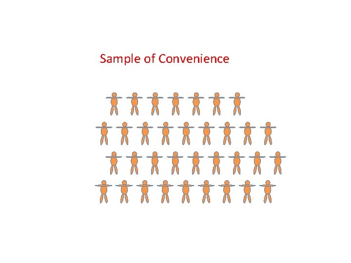 Sample of Convenience 