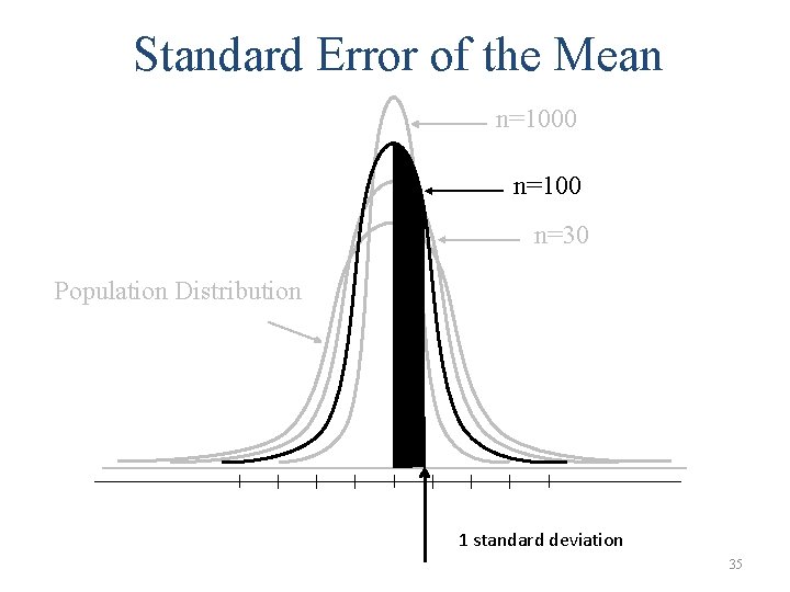 Standard Error of the Mean n=1000 n=100 n=30 Population Distribution 1 standard deviation 35
