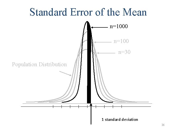 Standard Error of the Mean n=1000 n=100 n=30 Population Distribution 1 standard deviation 36