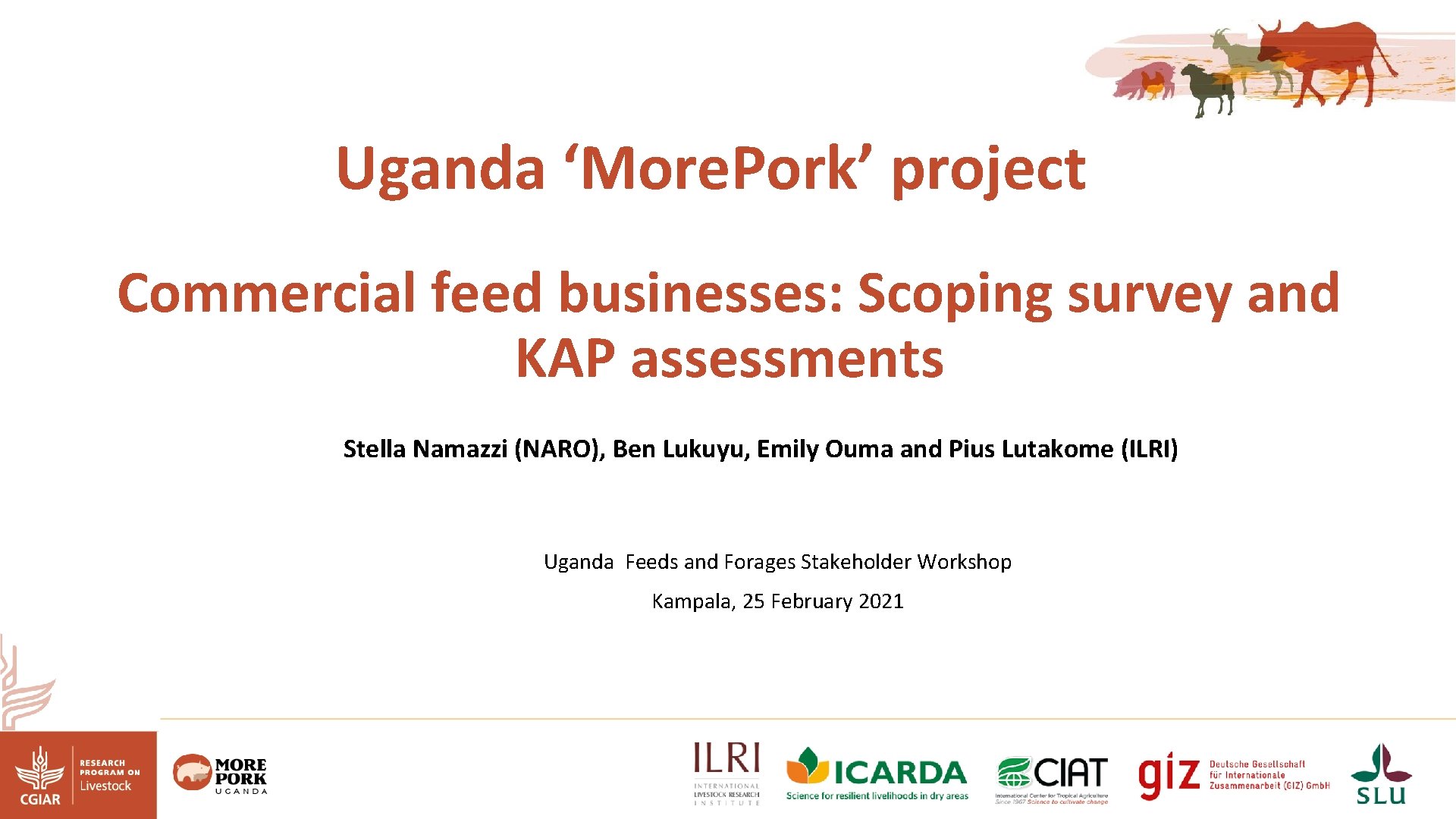 Uganda ‘More. Pork’ project Commercial feed businesses: Scoping survey and KAP assessments Stella Namazzi