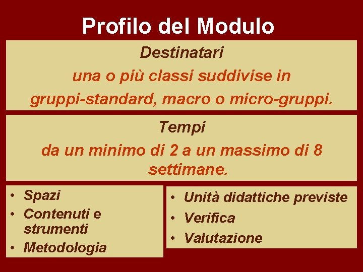Profilo del Modulo Destinatari una o più classi suddivise in gruppi-standard, macro o micro-gruppi.