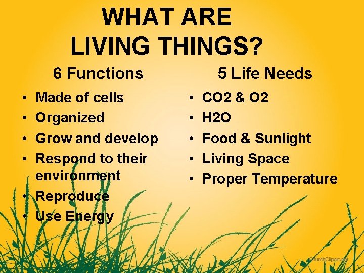 Living Type CHAPTER 6 CLASSIFYING LIVING THINGS Chapter 6 Ways