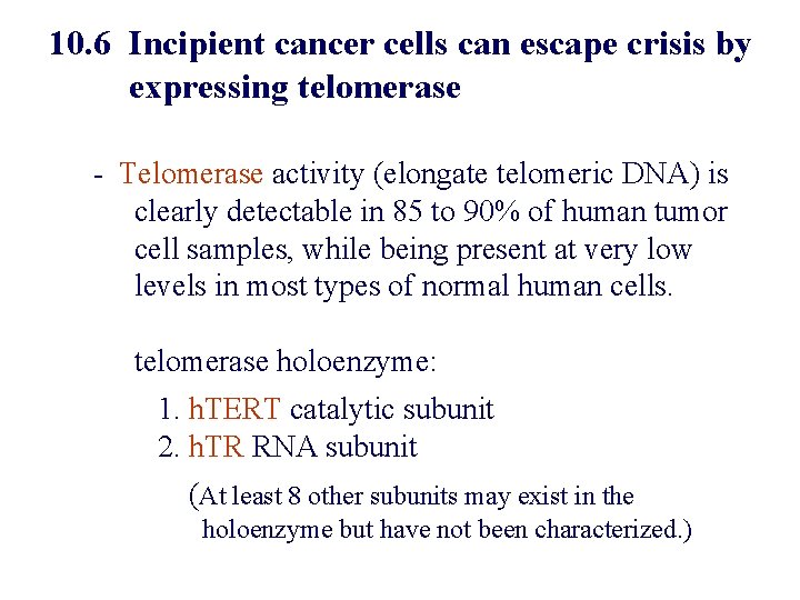 10. 6 Incipient cancer cells can escape crisis by expressing telomerase - Telomerase activity