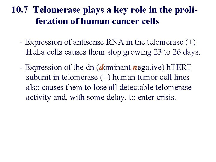 10. 7 Telomerase plays a key role in the proliferation of human cancer cells