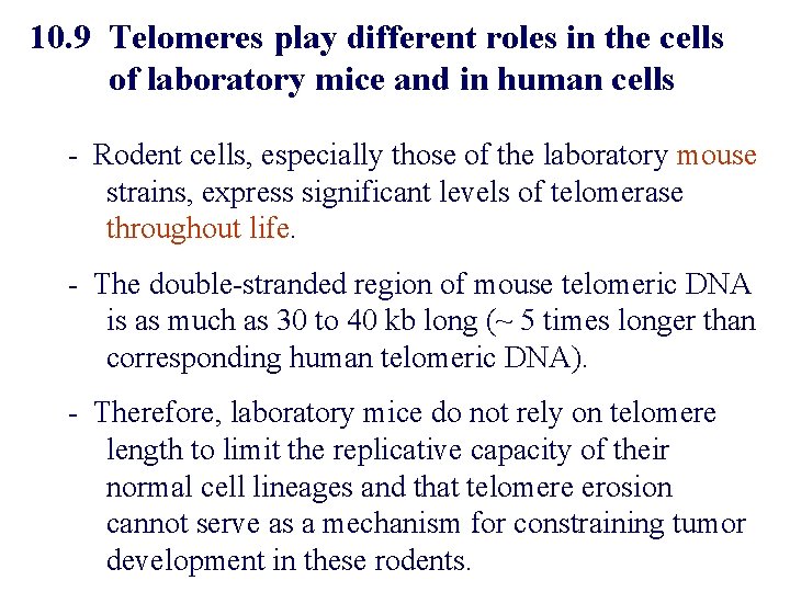 10. 9 Telomeres play different roles in the cells of laboratory mice and in