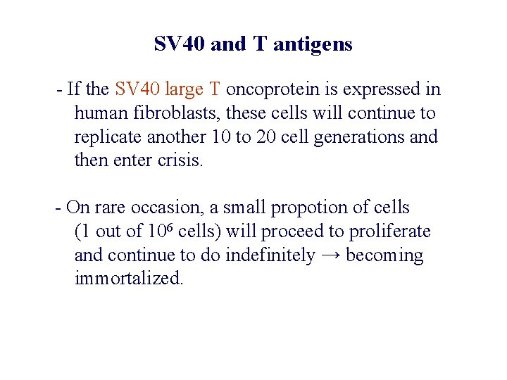 SV 40 and T antigens - If the SV 40 large T oncoprotein is