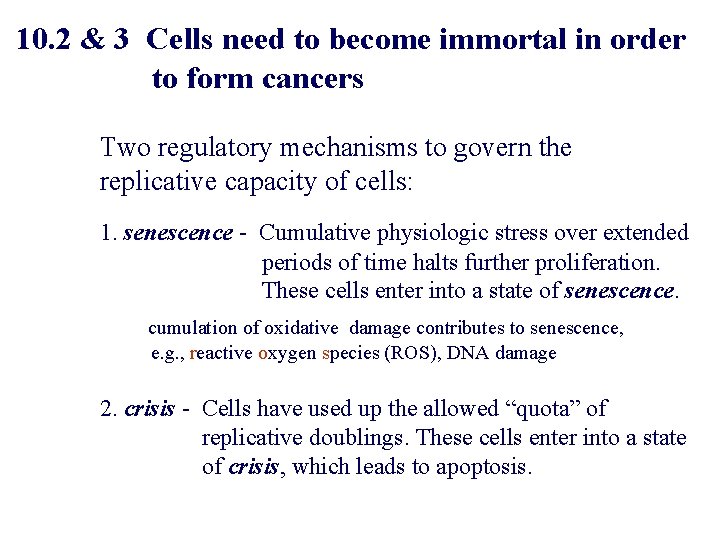 10. 2 & 3 Cells need to become immortal in order to form cancers