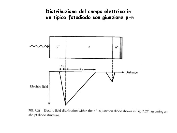 Distribuzione del campo elettrico in un tipico fotodiodo con giunzione p-n 