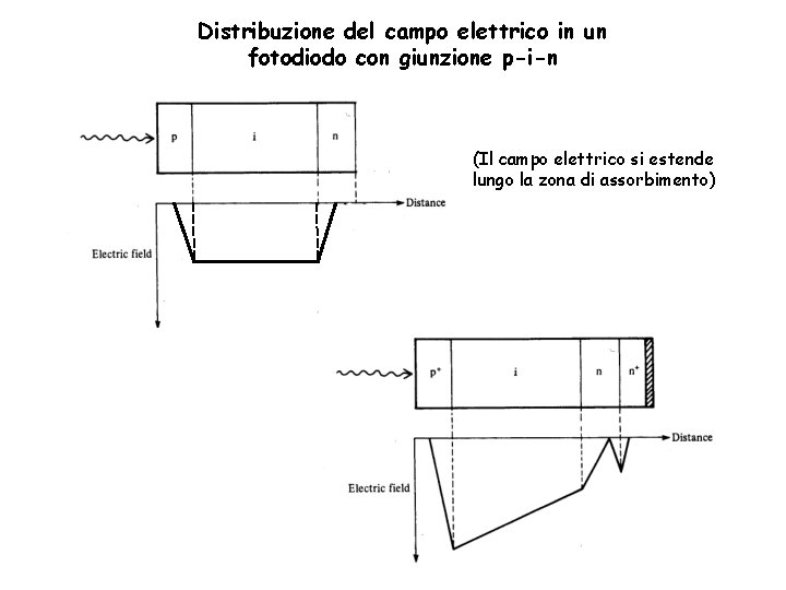 Distribuzione del campo elettrico in un fotodiodo con giunzione p-i-n (Il campo elettrico si