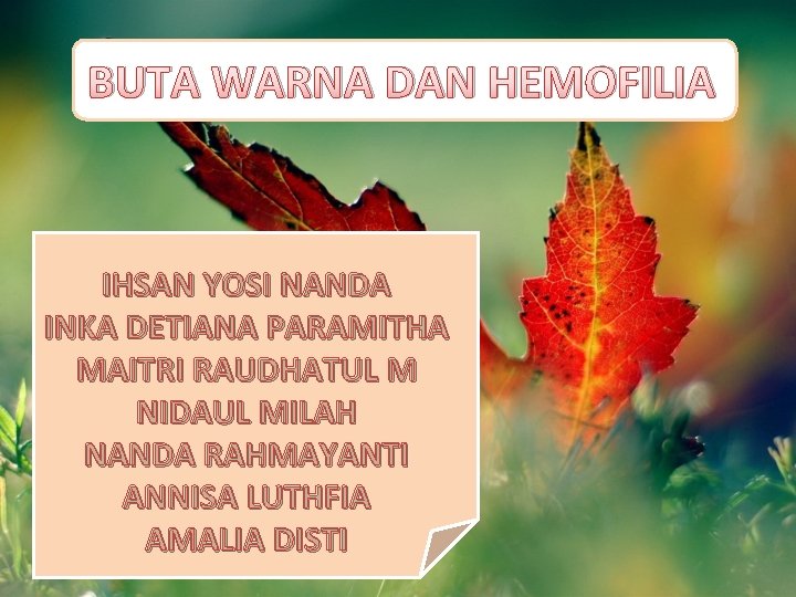 BUTA WARNA DAN HEMOFILIA IHSAN YOSI NANDA INKA DETIANA PARAMITHA MAITRI RAUDHATUL M NIDAUL