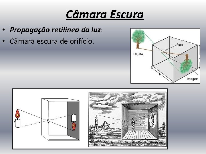 Câmara Escura • Propagação retilínea da luz: • Câmara escura de orifício. 