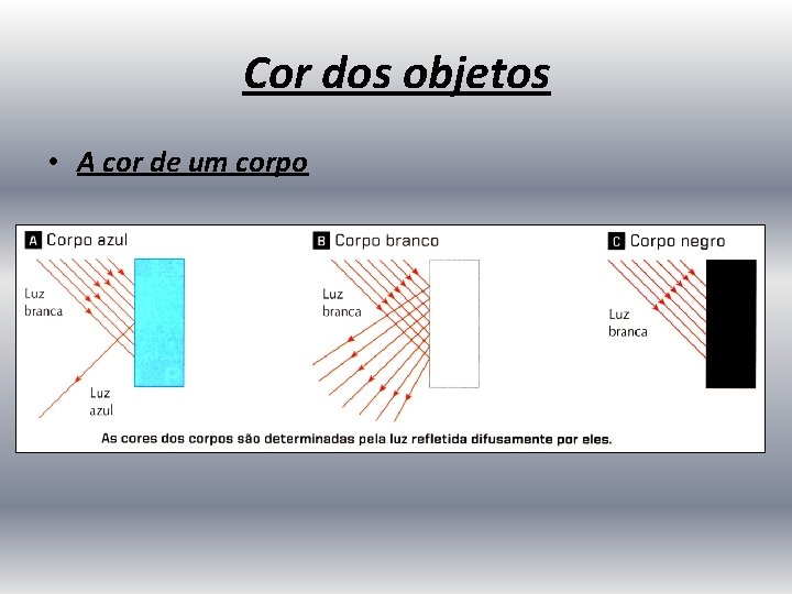 Cor dos objetos • A cor de um corpo 