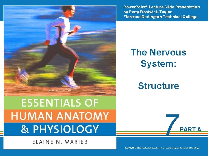Power. Point® Lecture Slide Presentation by Patty Bostwick-Taylor, Florence-Darlington Technical College The Nervous System: