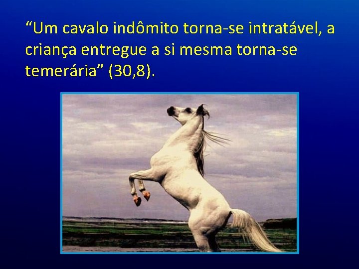 “Um cavalo indômito torna-se intratável, a criança entregue a si mesma torna-se temerária” (30, “Um cavalo indômito torna-se intratável, a criança entregue a si mesma torna-se temerária” (30,
