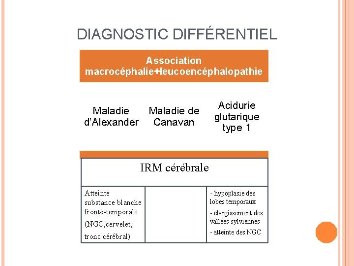 DIAGNOSTIC DIFFÉRENTIEL Association macrocéphalie+leucoencéphalopathie Maladie d’Alexander Maladie de Canavan Acidurie glutarique type 1 IRM