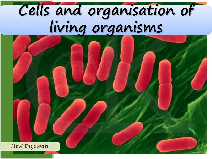 Cells and organisation of living organisms Hevi Diyowati 