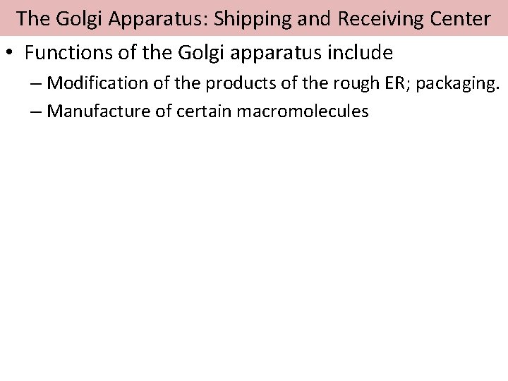 The Golgi Apparatus: Shipping and Receiving Center • Functions of the Golgi apparatus include