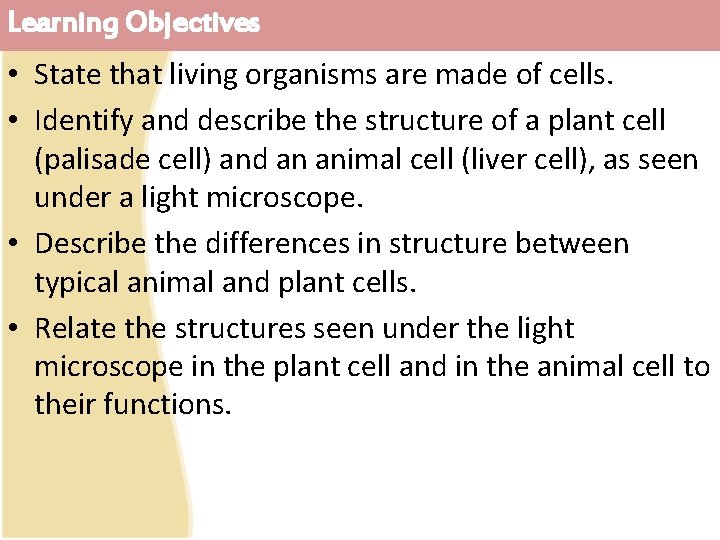 Learning Objectives • State that living organisms are made of cells. • Identify and