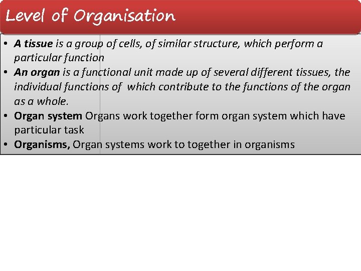 Level of Organisation • A tissue is a group of cells, of similar structure,