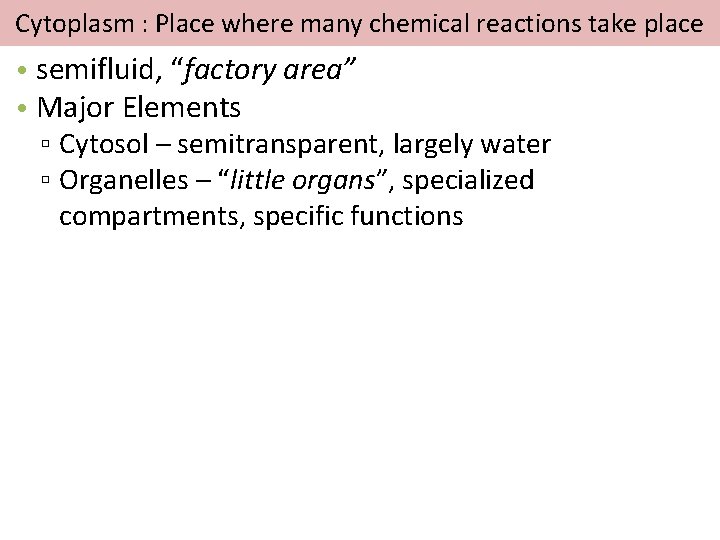 Cytoplasm : Place where many chemical reactions take place • semifluid, “factory area” •