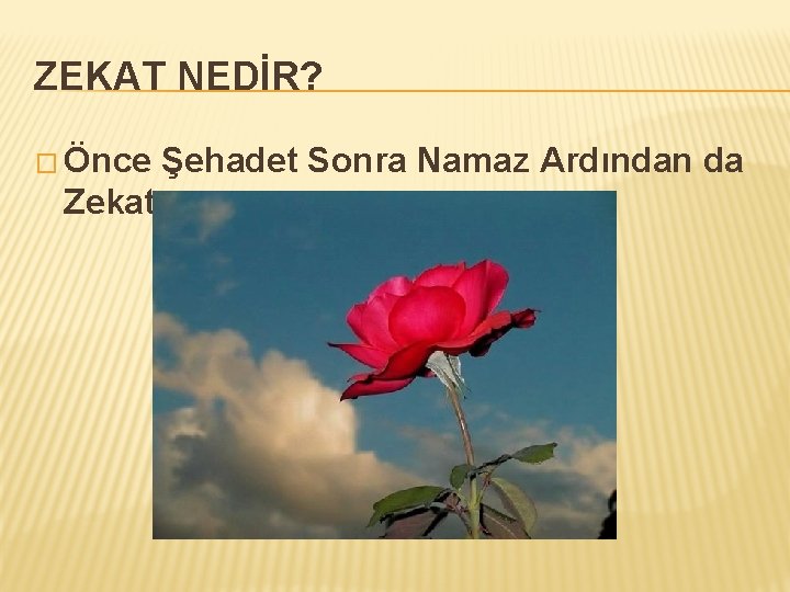 ZEKAT NEDİR? � Önce Zekat Şehadet Sonra Namaz Ardından da 