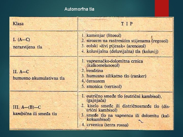 Automorfna tla 