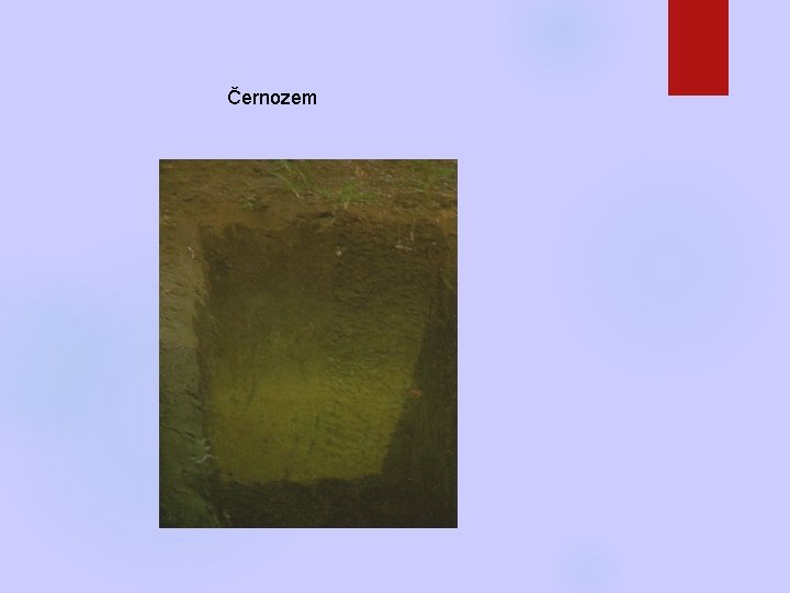 Černozem 