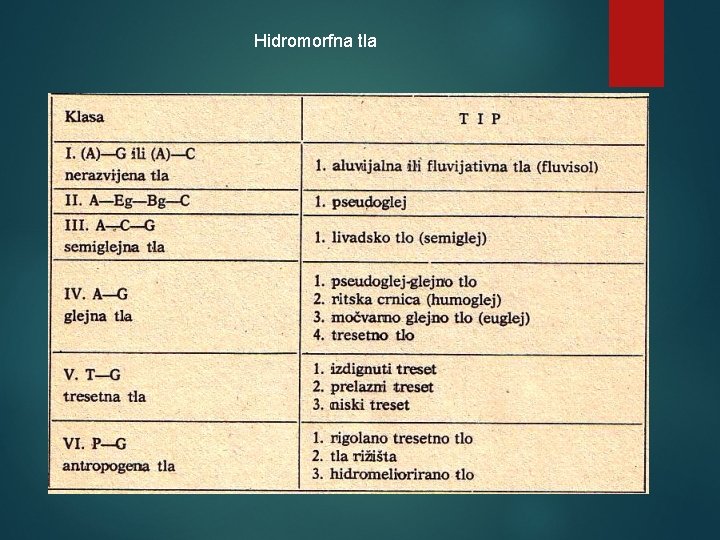 Hidromorfna tla 